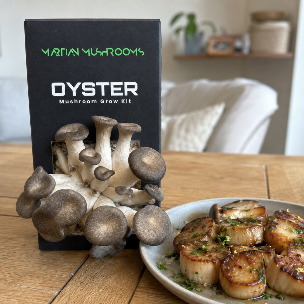 Black Pearl King Oyster Mushroom Grow Kit