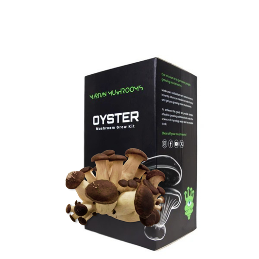 Black Pearl King Oyster Mushroom Grow Kit