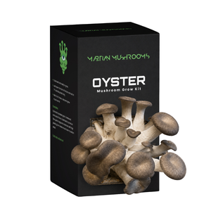 Black Pearl King Oyster
