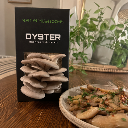 Blue Oyster Mushroom Grow Kit