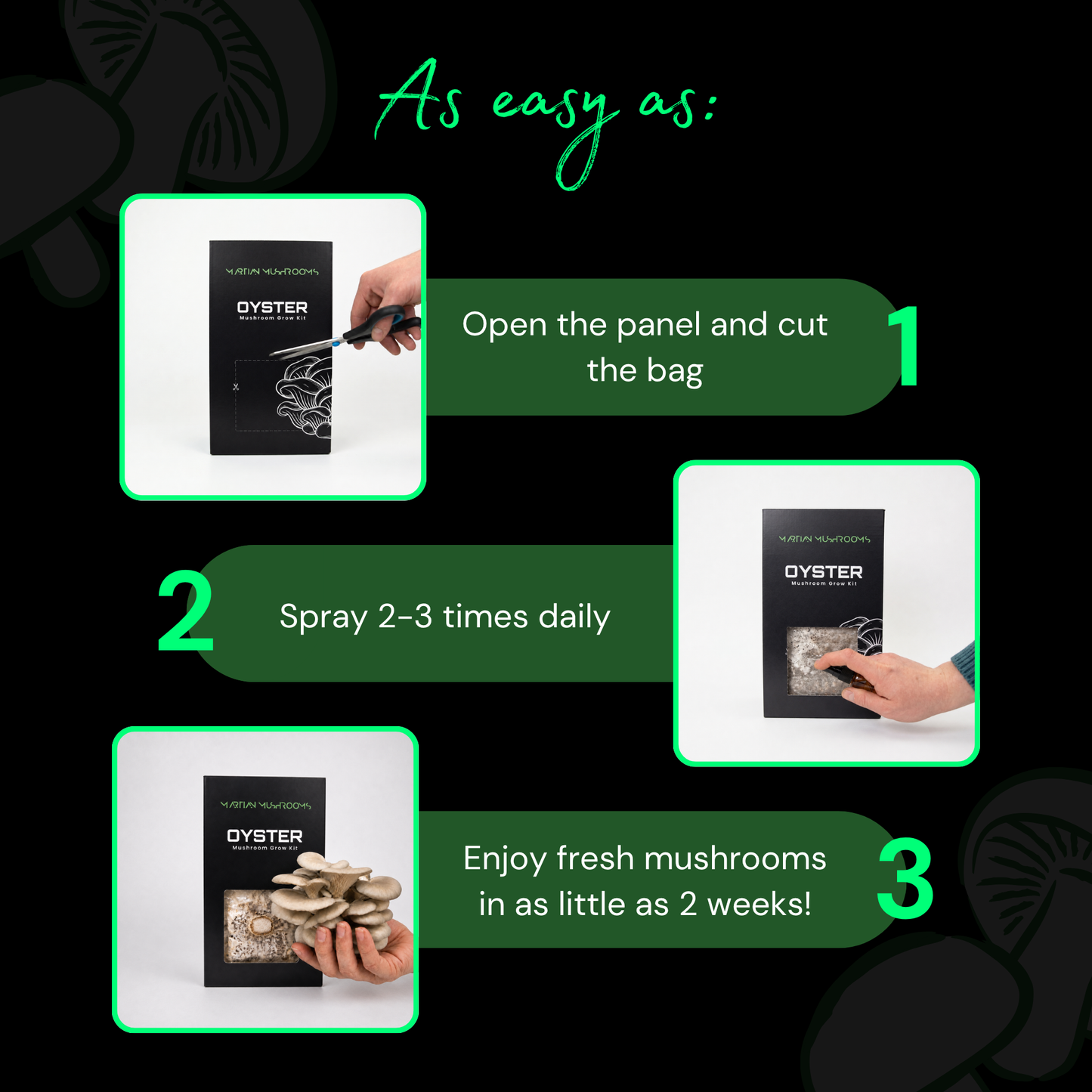 Blue Oyster Mushroom Grow Kit