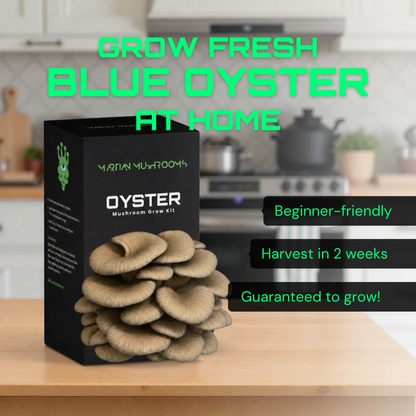 Blue Oyster Mushroom Grow Kit