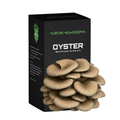 Blue Oyster