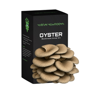 Blue Oyster
