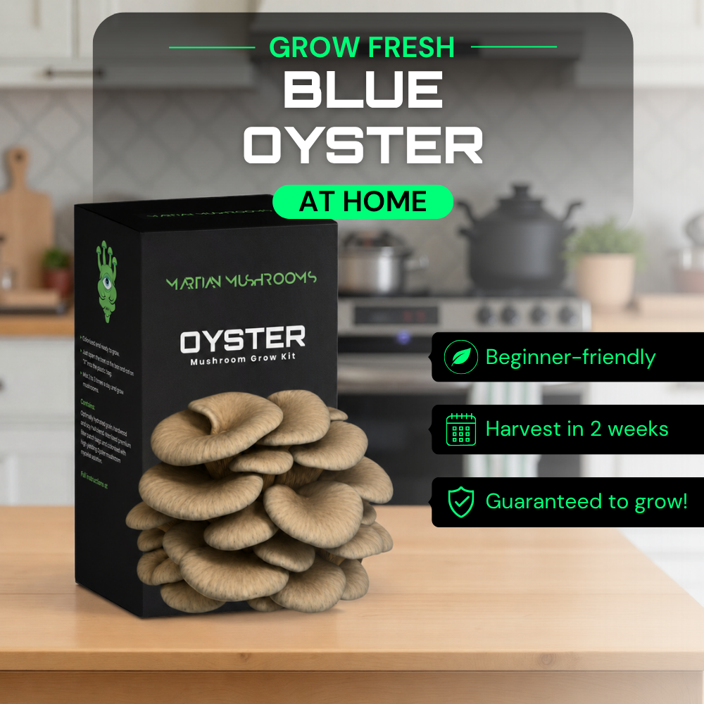 Blue Oyster Mushroom Grow Kit