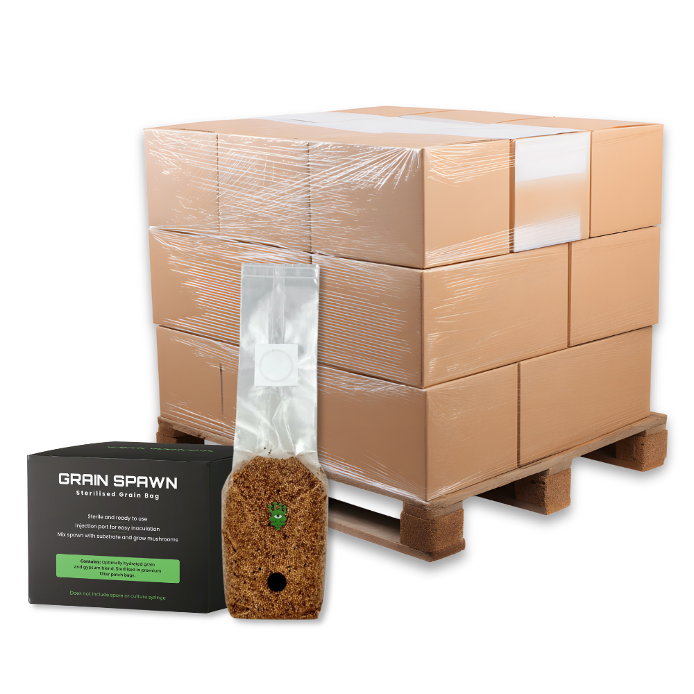 Bulk Sterilised Millet Mushroom Grain Spawn Bag