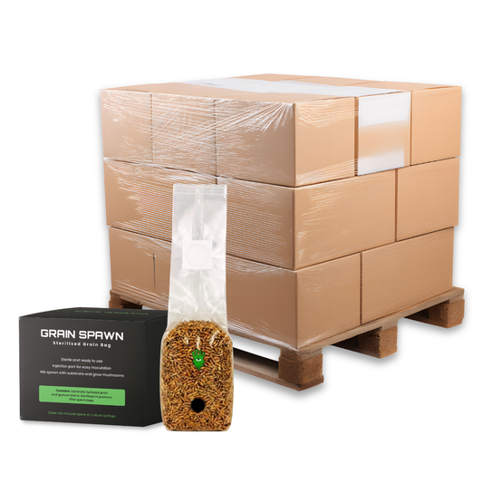 Bulk Sterilised Rye Mushroom Grain Spawn Bag