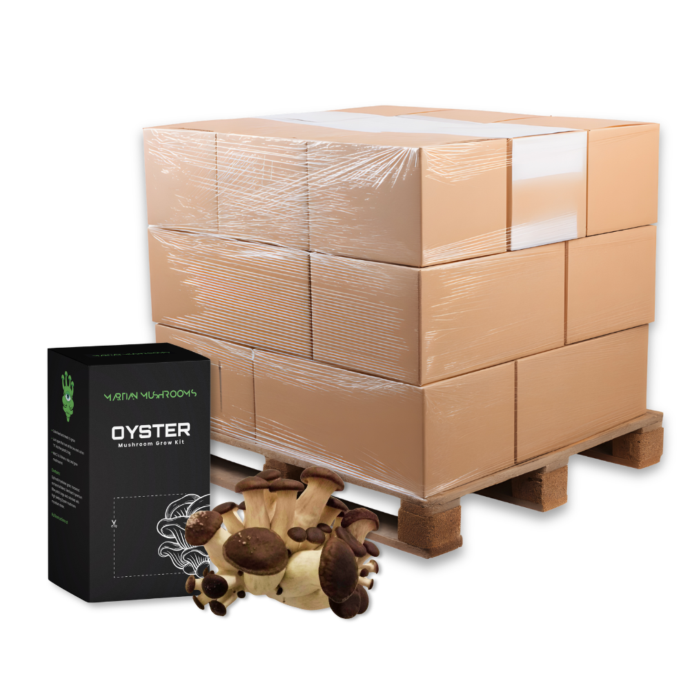 Bulk Black Pearl King Oyster Mushroom Grow Kit