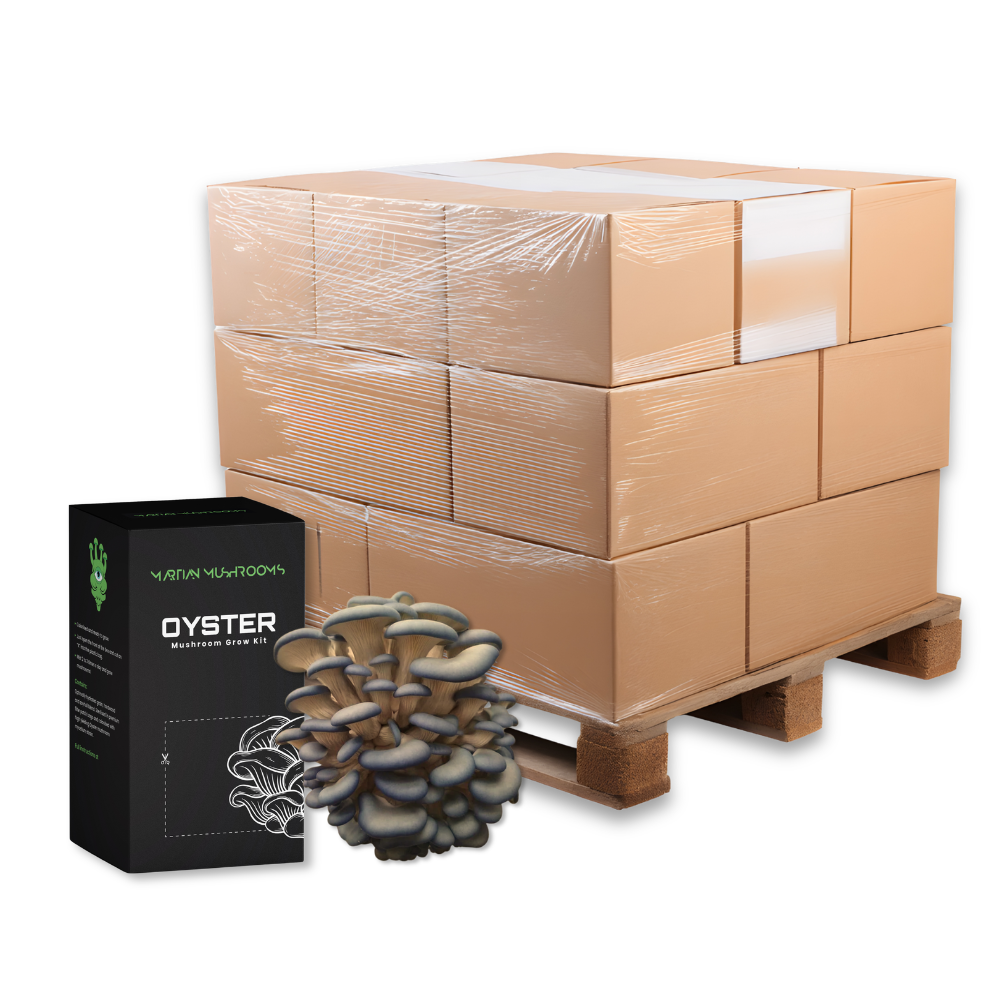 Bulk Blue Oyster Mushroom Grow Kit