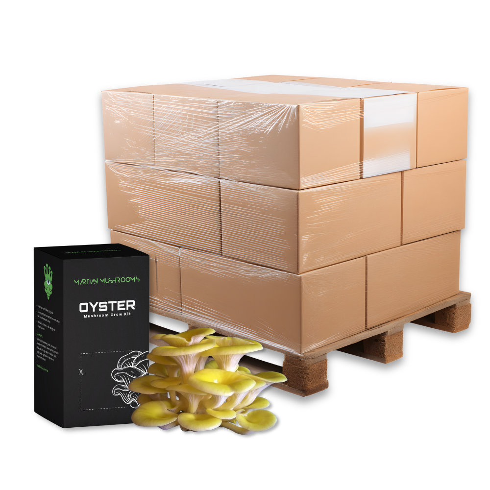 Bulk Golden Oyster Mushroom Grow Kit
