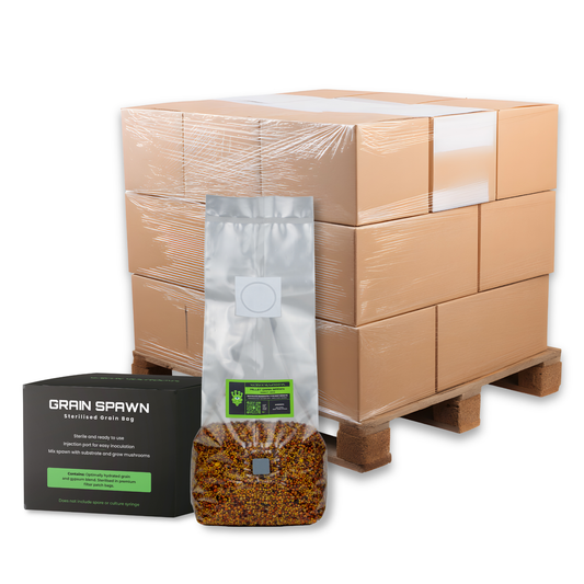 Bulk Sterilised Millet Mushroom Grain Spawn Bag