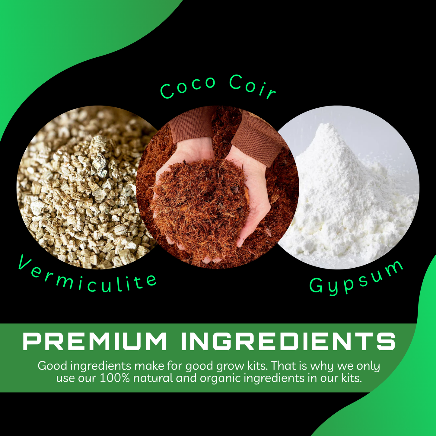 Sterilised CVG Mushroom Substrate Bag