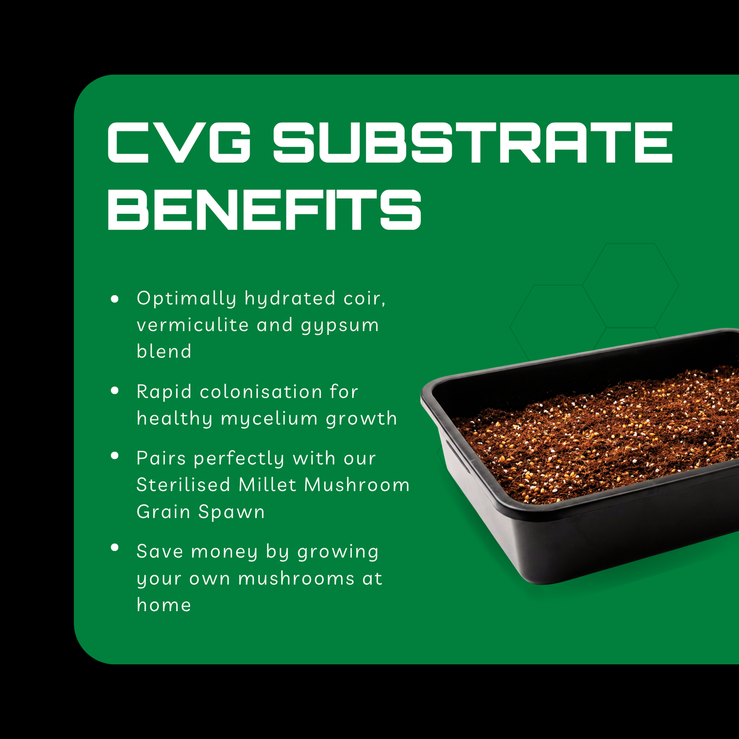 Sterilised CVG Mushroom Substrate Bag