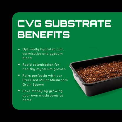 Sterilised CVG Mushroom Substrate Bag