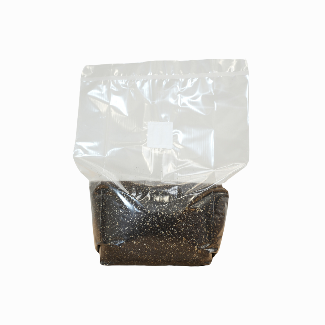 Image showcasing Sterilised CVG Mushroom Substrate Bag | Buy Online | Martian Mushrooms UK