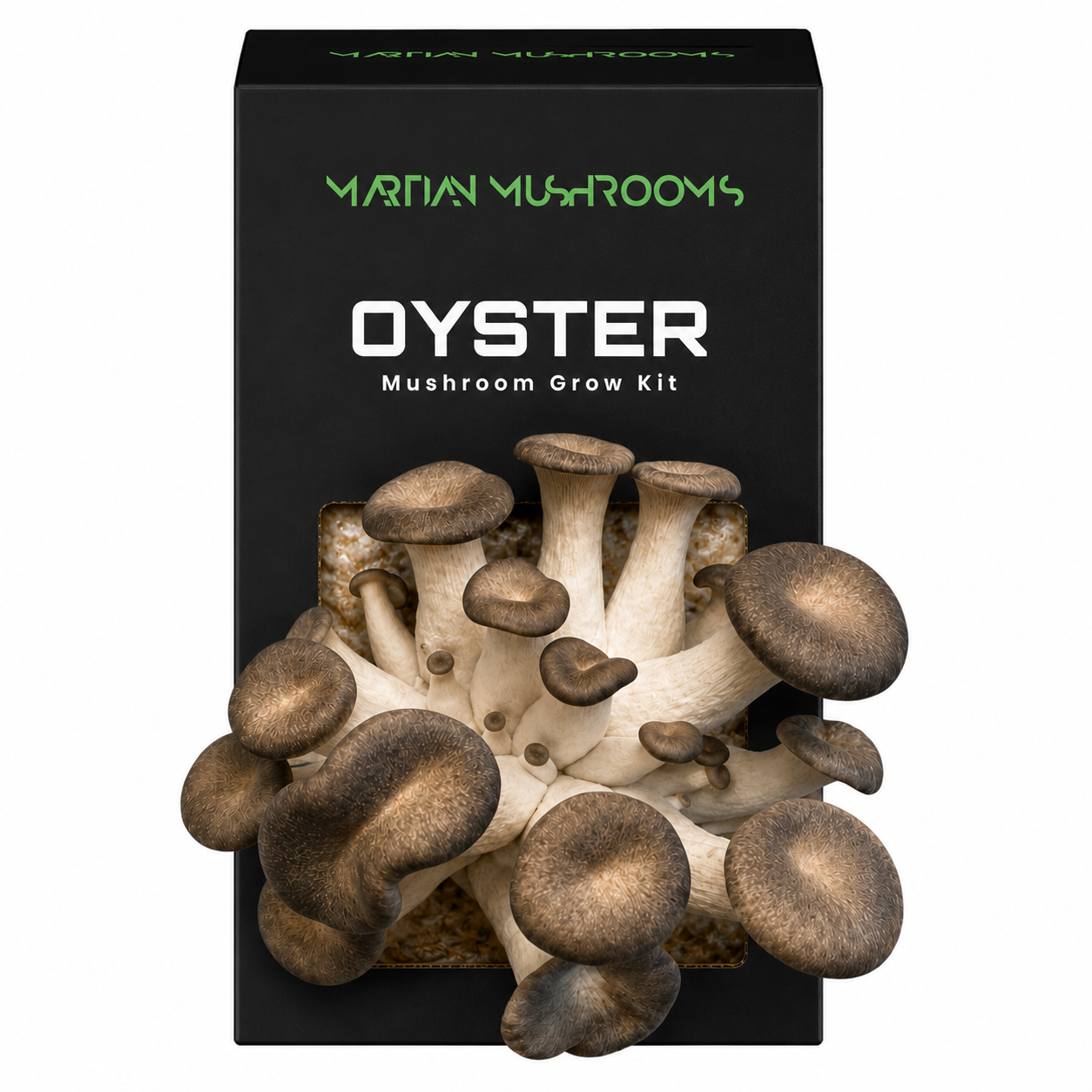 Black Pearl King Oyster