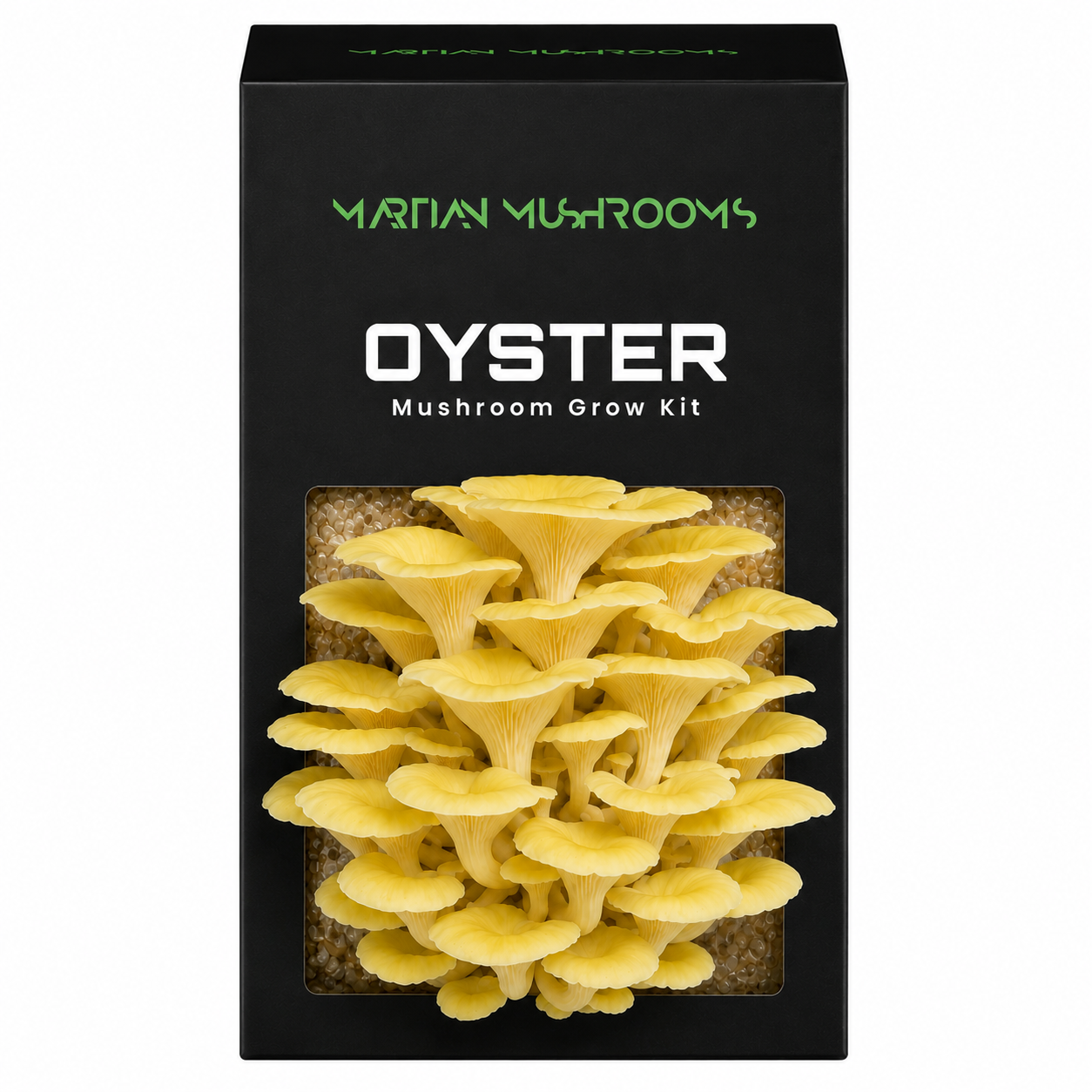 Golden Oyster