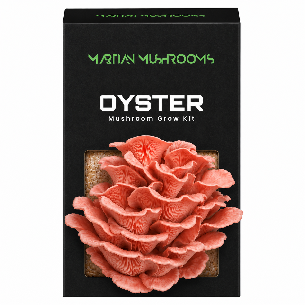 Pink Oyster