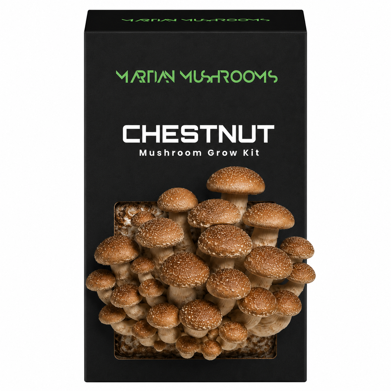 Speckled Chestnut
