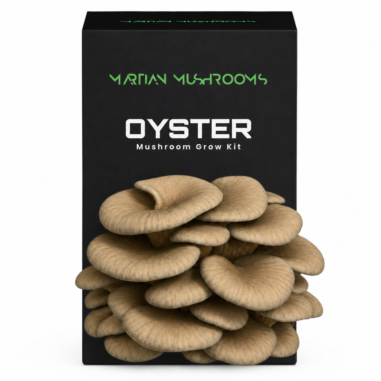 Blue Oyster
