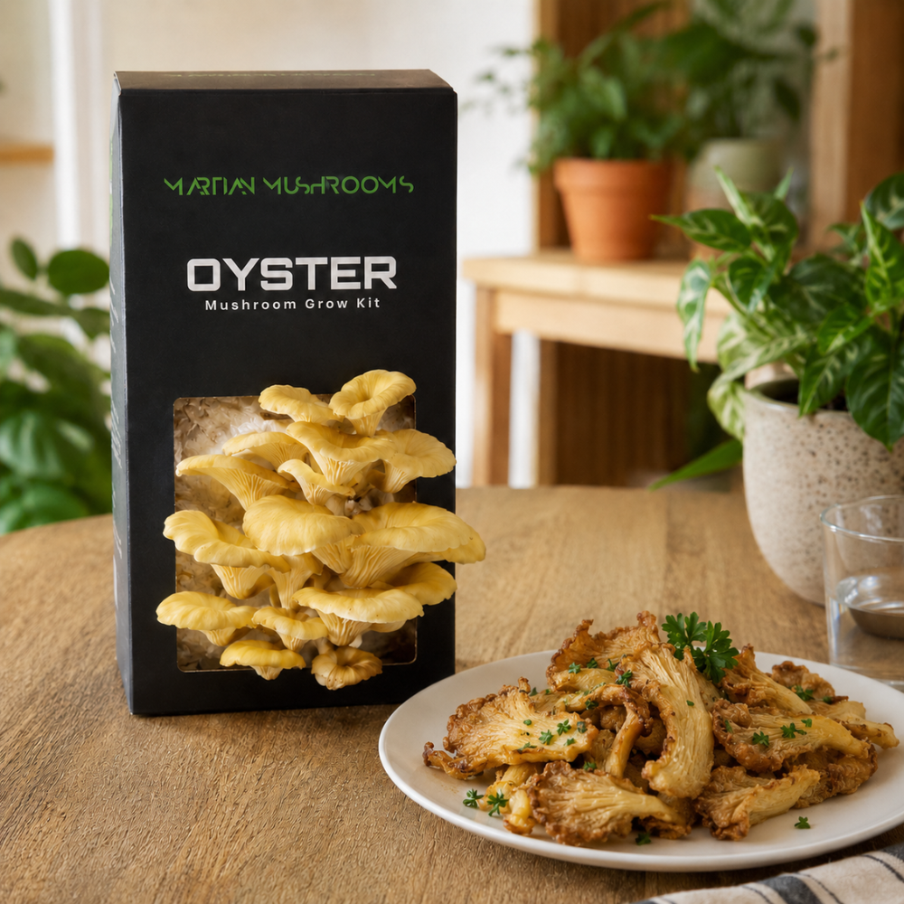 Golden Oyster Mushroom Grow Kit