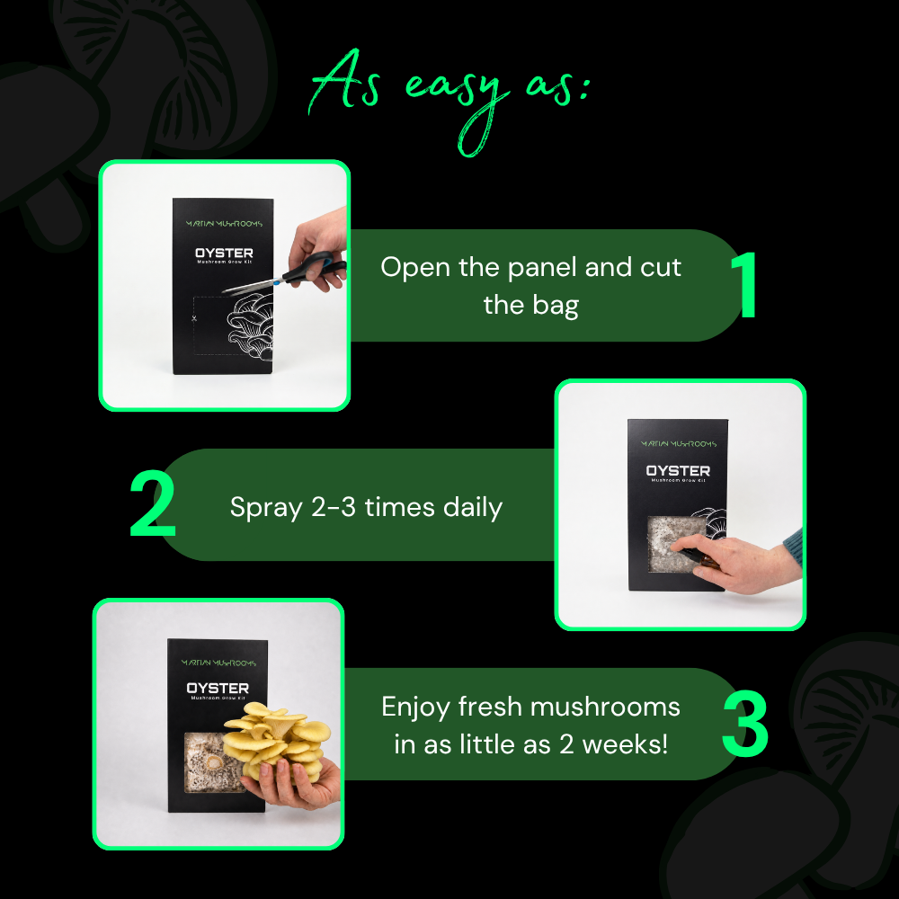Golden Oyster Mushroom Grow Kit