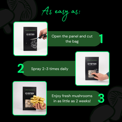 Golden Oyster Mushroom Grow Kit