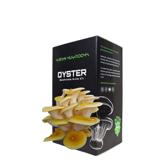 Golden Oyster Mushroom Grow Kit