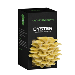 Golden Oyster