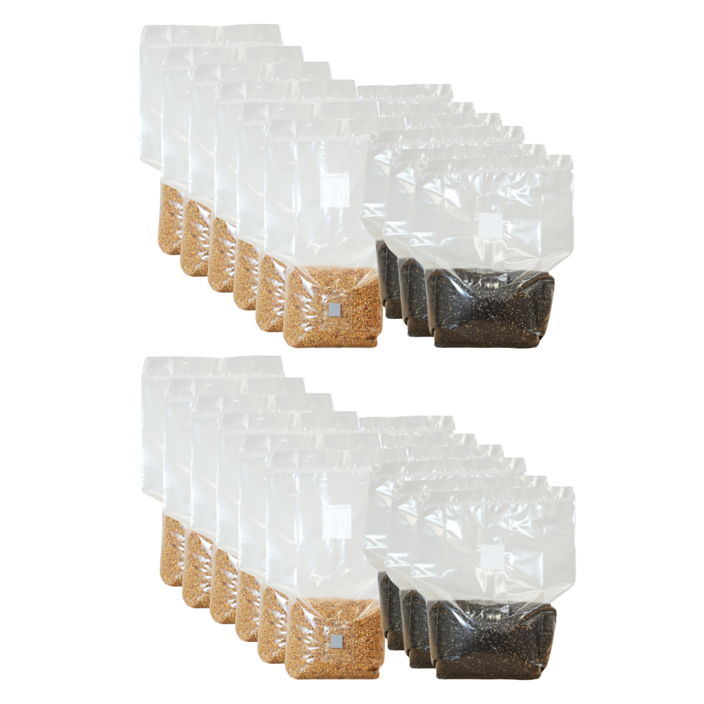 Millet Grain Spawn and CVG Mushroom Substrate Bundle