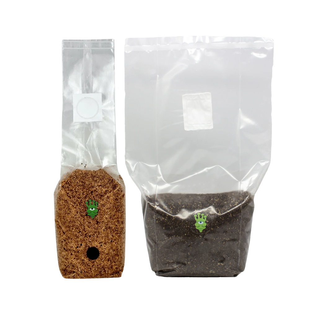 Millet Grain Spawn and CVG Mushroom Substrate Bundle