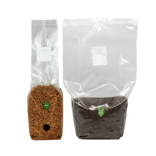 Millet Grain Spawn and CVG Mushroom Substrate Bundle