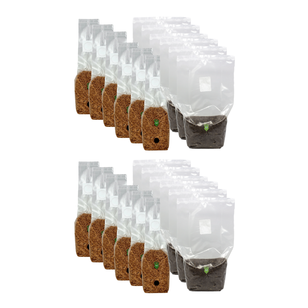 Millet Grain Spawn and CVG Mushroom Substrate Bundle