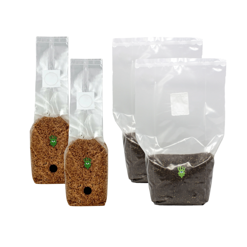 Millet Grain Spawn and CVG Mushroom Substrate Bundle