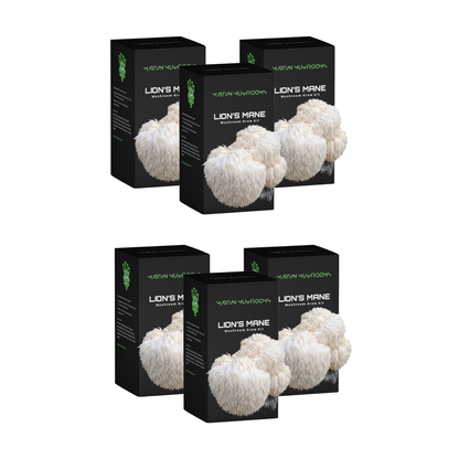 Lion's Mane Mushroom Grow Kit