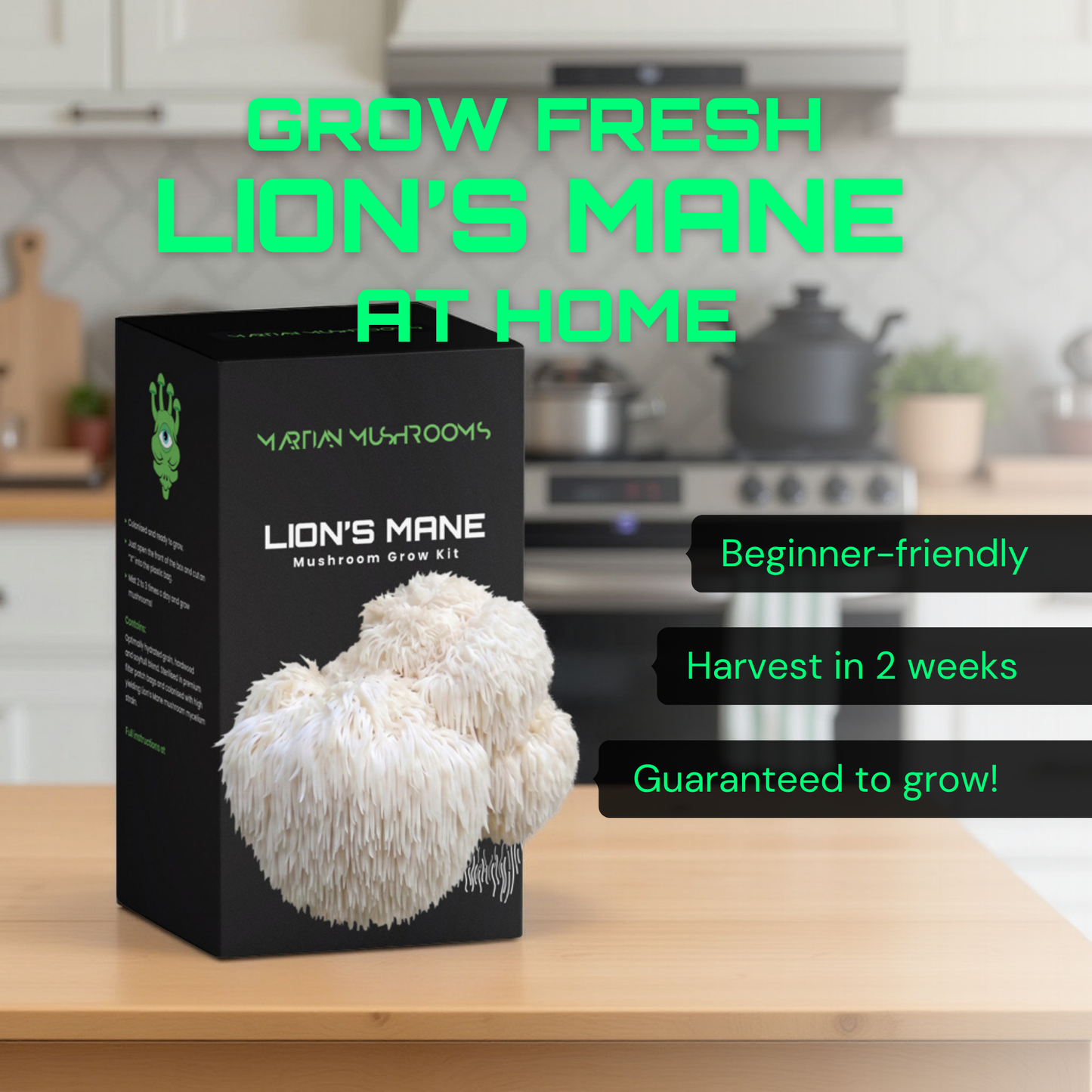Lion's Mane Mushroom Grow Kit