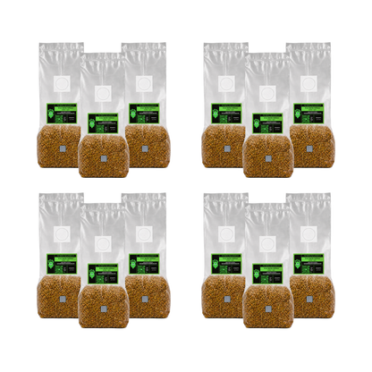 Sterilised Rye Mushroom Grain Spawn Bag