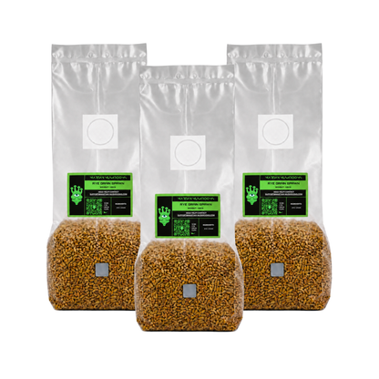 Sterilised Rye Mushroom Grain Spawn Bag