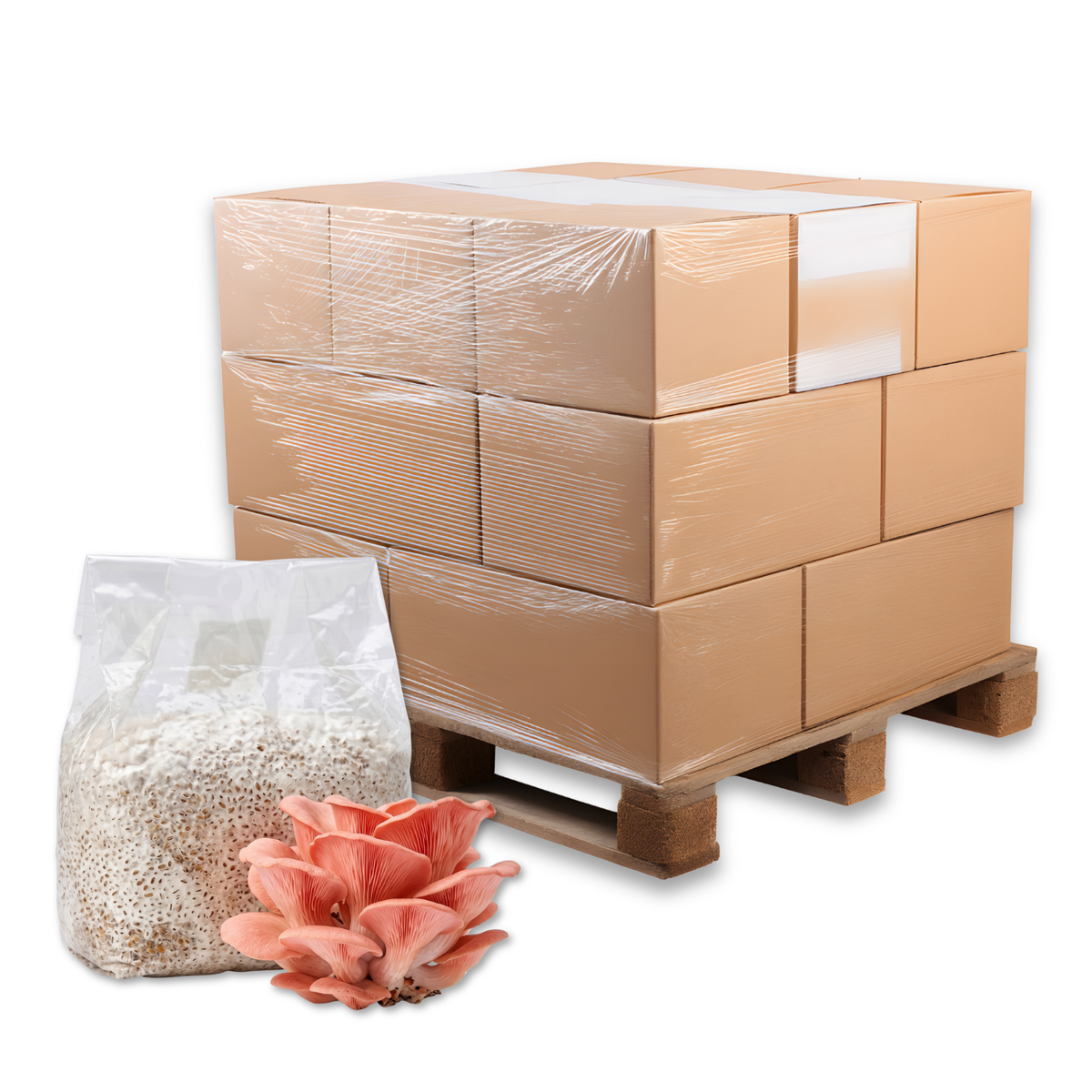 Bulk Pink Oyster Mushroom Grain Spawn Bag