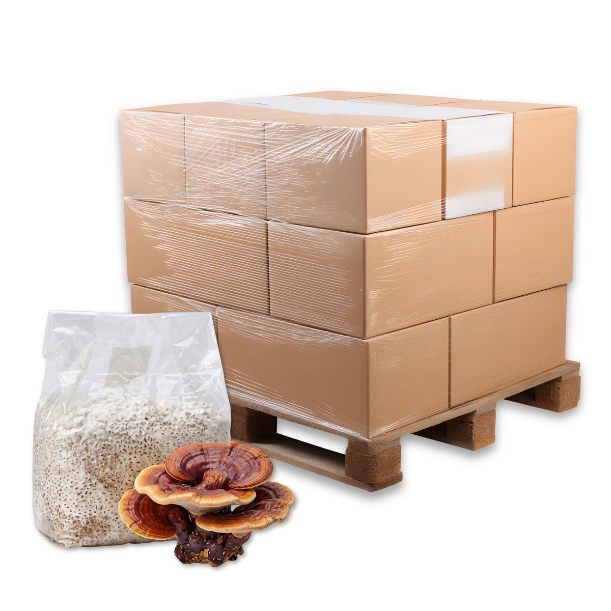 Bulk Reishi Mushroom Grain Spawn Bag