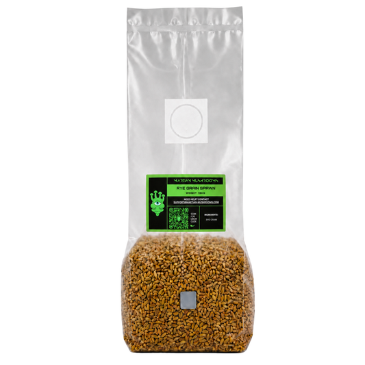 Sterilised Rye Mushroom Grain Spawn Bag