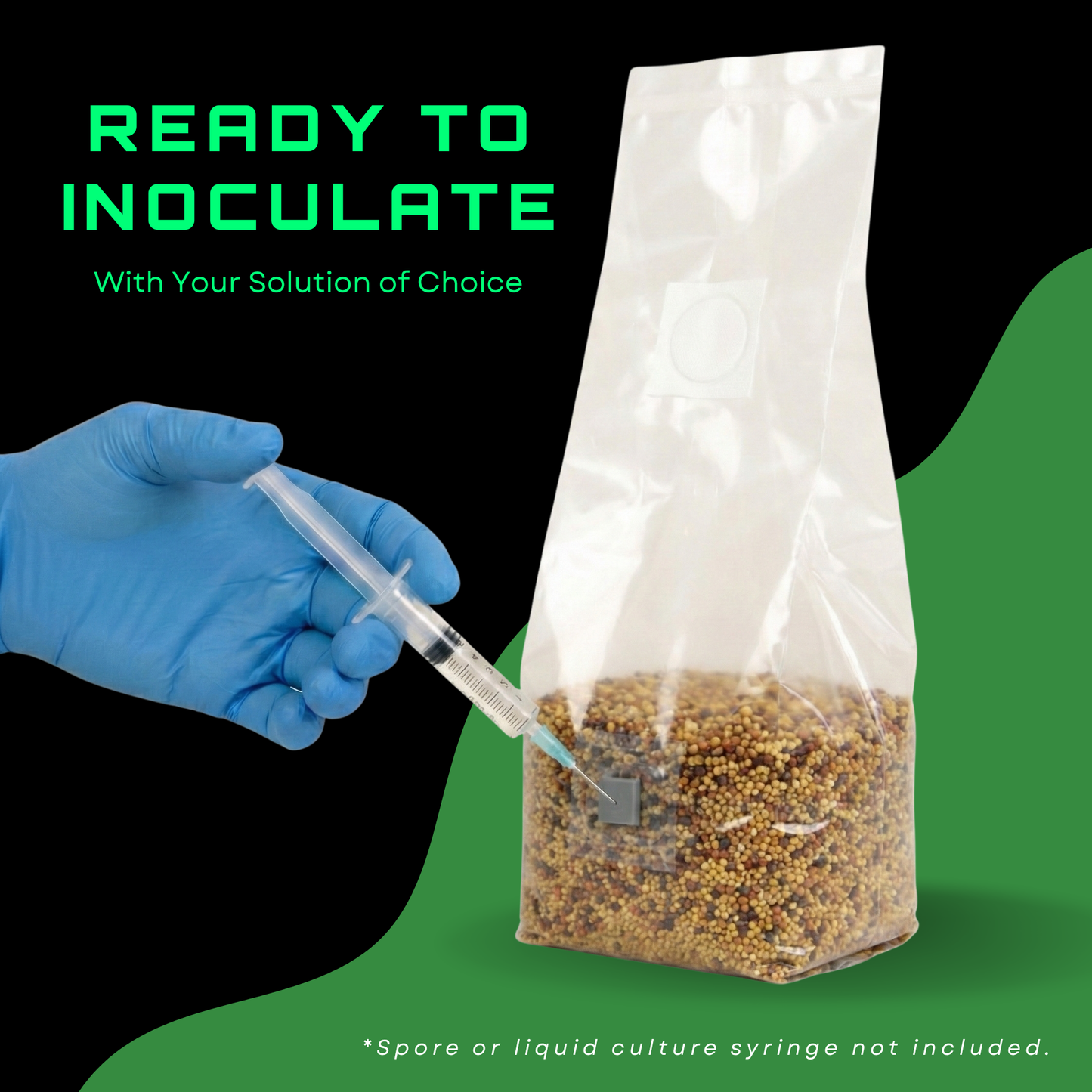Sterilised Millet Mushroom Grain Spawn Bag