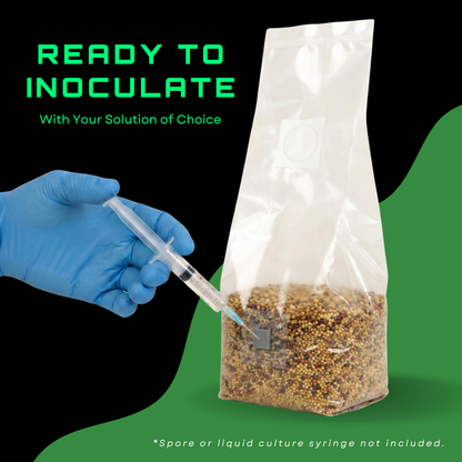 Sterilised Millet Mushroom Grain Spawn Bag