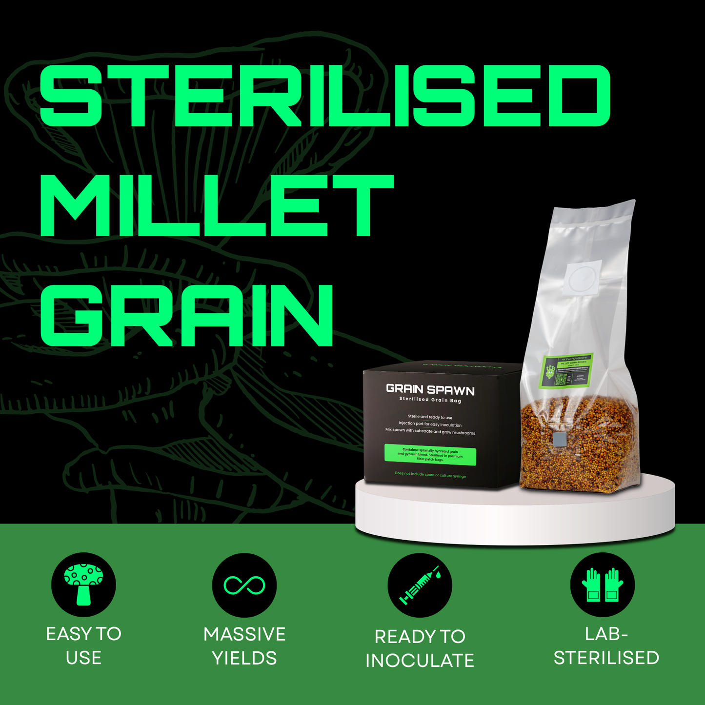 Sterilised Millet Mushroom Grain Spawn Bag