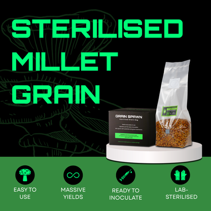 Sterilised Millet Mushroom Grain Spawn Bag