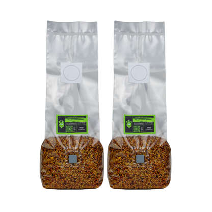 Sterilised Millet Mushroom Grain Spawn Bag