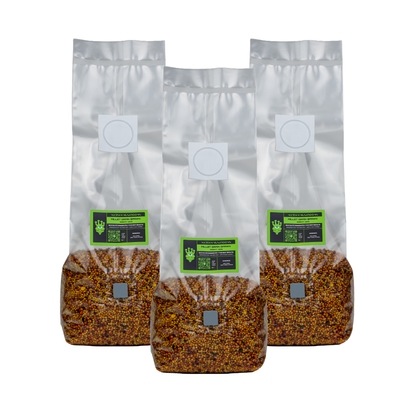 Sterilised Millet Mushroom Grain Spawn Bag