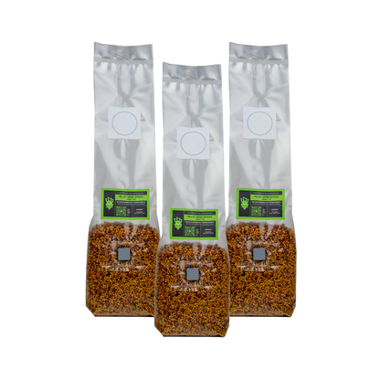 Sterilised Millet Mushroom Grain Spawn Bag