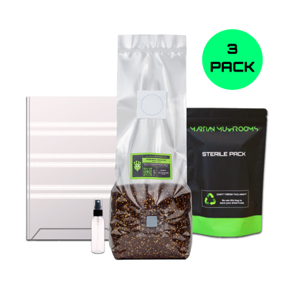 MushBag™ All-In-One Mushroom Grow Kit