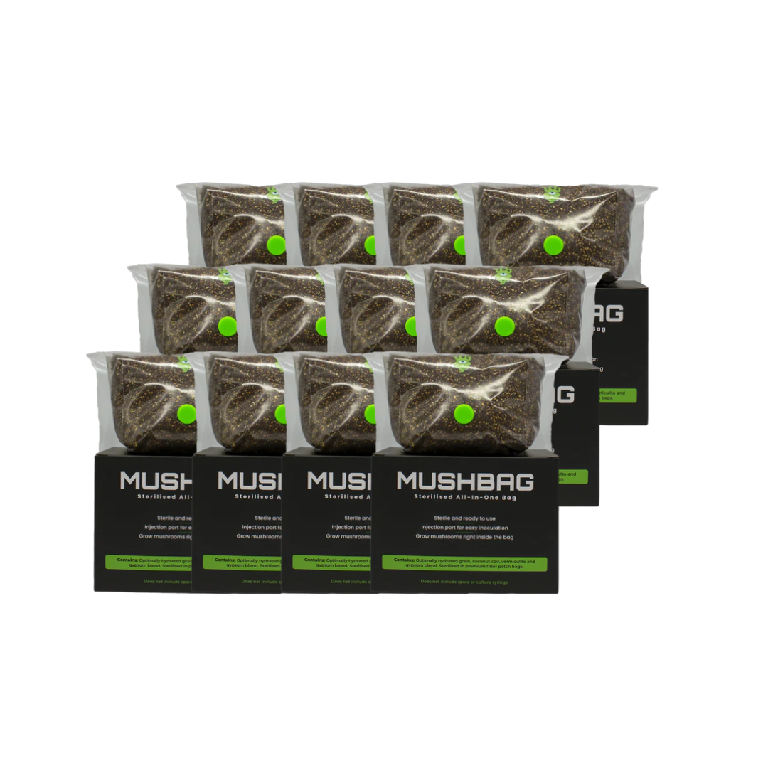 MushBag Grow Kit